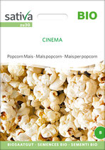 Popcorn Mais - CINEMA