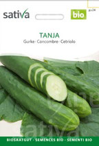 Gurke  TANJA
