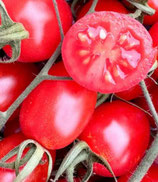 Red Cherry