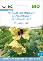 Hyoscyamus niger - SCHWARZES BILSENKRAUT