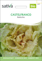 Radicchio - CASTELFRANCO