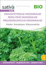 Kräuter - KRAUSE PETERSILIE 'MOOSKRAUSE'