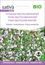 Kräuter - THYMIAN 'DEUTSCHER WINTER'