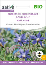 Kräuter - BORRETSCH, GURKENKRAUT