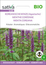 Kräuter - KOREANISCHE MINZE (Agastache)