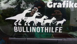 Bestellung gleicher Motive