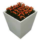 CONIC wit middel 75cm met oranje tulpen