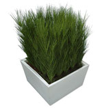 CONIC wit laag 40cm met gras