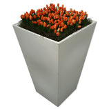 CONIC wit/zwart hoog 110cm met oranje tulpen