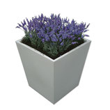 CONIC wit middel 75cm met lavendel