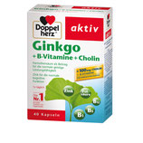 Doppelherz Ginkgo + B-Vitamine + Cholin Kapseln 40 Kapseln