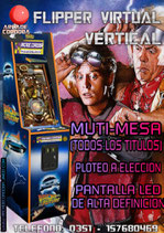 FLIPPER PINBALL VIRTUAL VERTICAL
