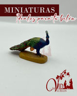 Pavo real (601)
