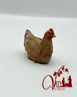GALLINA PONEDORA MARRÓN