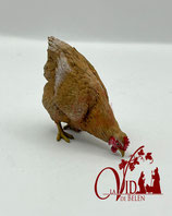 GALLINA COMIENDO MARRÓN
