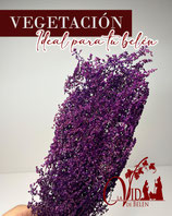 Mini ramitas con florecillas de color purpura lavanda