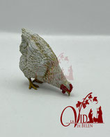 GALLINA COMIENDO BLANCA