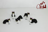 Gatos (553)