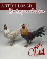 Gallo