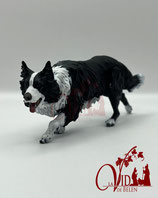 Border Collie (MOD2)