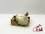 Gallina ponedora