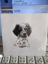 wan-042 犬絵画