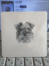 wan-035 犬絵画