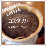 コスタリカ　ジャガーハニー　　200g