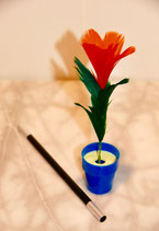 Flower Pot / フラワーポット（花咲き鉢）