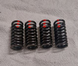Härtere Ventilfedern ROT - Motorsport