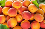 PANIER FRUITS  DE SAISON EURO 20