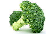 BROCOLI France