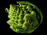 CHOU ROMANESCO