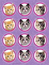 Katzen Sticker