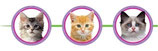 Katzen Girlande