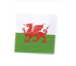 Ritter Drachen Servietten
