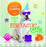 Hunde Funtastic Servietten