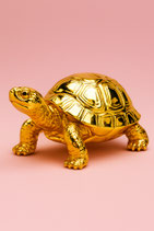 Kurs 6 Echtvergoldung