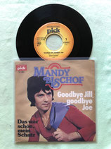 Mandy Bischof, Goodbye Jill, Goodbye Joe / ch