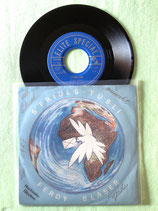 Ferdy Blaser, s'Friedes-Tübli / chv