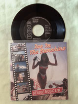 Beagle Music LTD., Ice In The Sunshine / deutsch