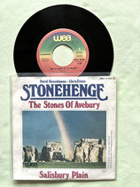 Chris Evans & David Hanselmann, Stonehenge / deutsch