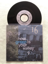 16 Tambourines, How Green Is Your Valley? / r