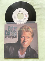 Peter Cetera & Amy Grant, The Next Time I Fall