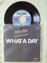 Frank Duval & Orchestra, What A Day / deutsch