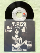 T. Rex, Hot Love / r