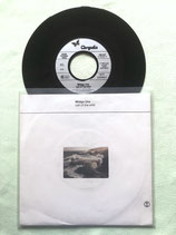 Midge Ure, Call Of The Wind