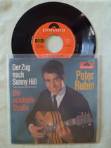 Peter Rubin, Der Zug nach Sunny Hill / sch
