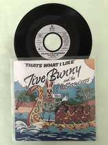 Jive Bunny & the Mastermixers, That's What I Like