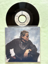 Robert Palmer, You Are In My System